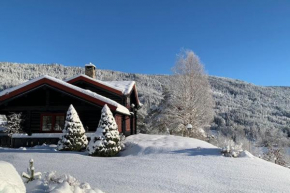 Luxury wooden house 